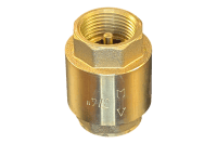 3/4 in Threaded Spring Check Valve (NPT) (Lead Free)