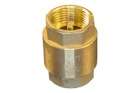 1 in Threaded Spring Check Valve (NPT) (Lead Free)